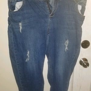 Lane Bryant boyfriend  jean